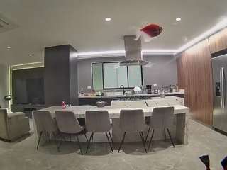 voyeurcam casa salsa fishtank